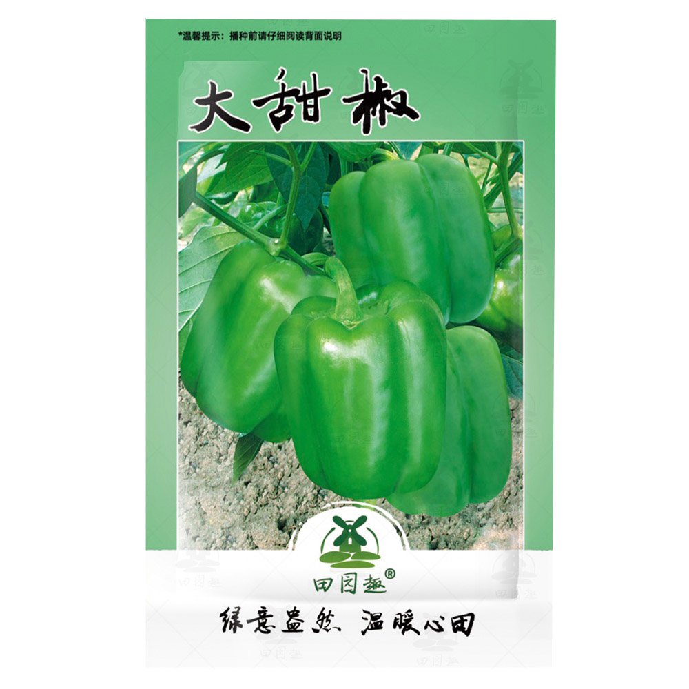 600 Capsicum Fresh Seeds Organic Green Bell Peppers Sweet Bell Pepper Vegetable Planting