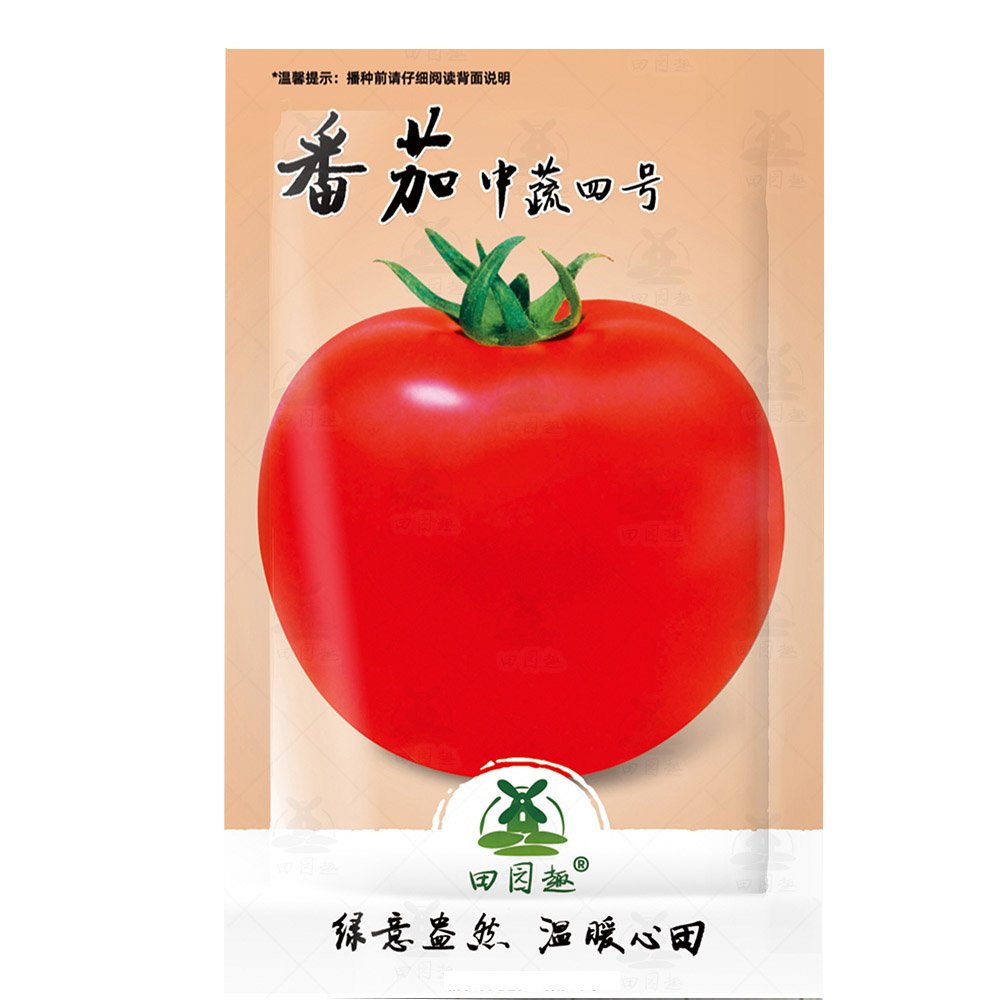 100 Delicious Tomato Fresh Seeds World Record Beefsteak