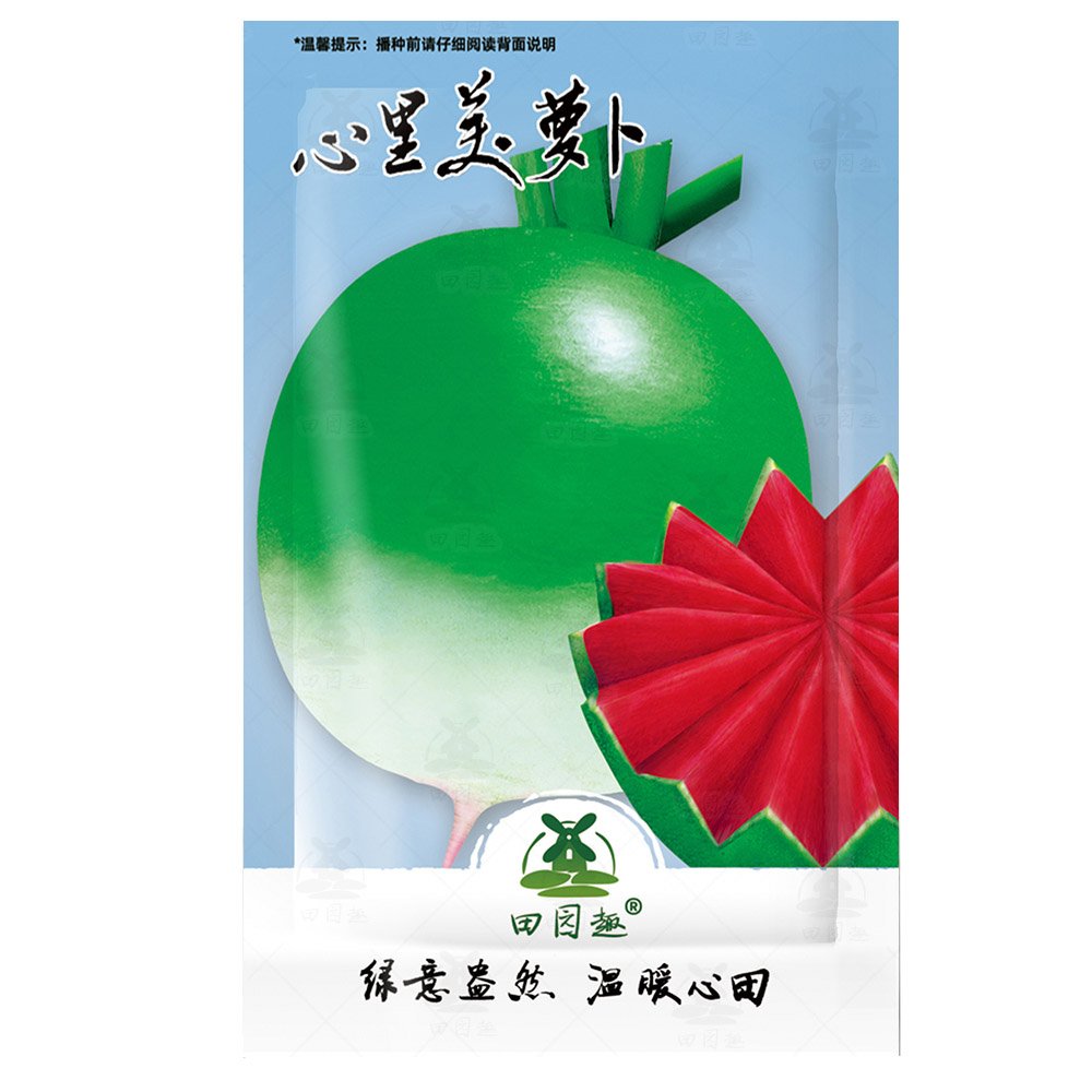 400 Watermelon Radish Fresh Seeds