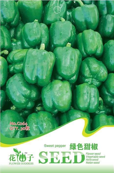 Big Green Sweet Bell Pepper Fresh Seeds 8 Fresh Seeds