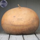 Giant African Basket Gourd Lagenaria Siceraria Fresh Seeds 10 Fresh Seeds