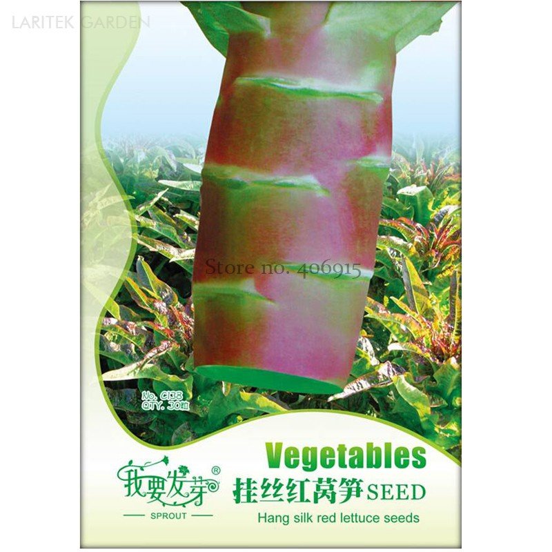 Red Skin Asparagus Lettuce Vegetables 30 Fresh Seeds