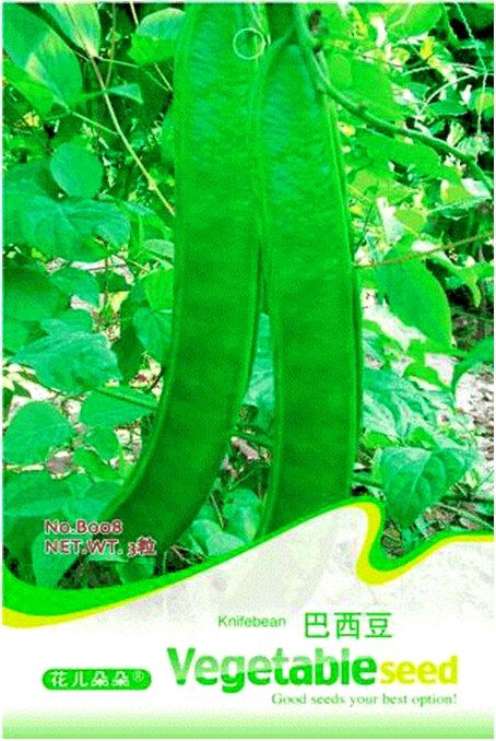 Brazil Nut Sword Bean Vegetable Organic Fresh Seeds Original  3 Fresh Seeds