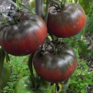100 Fresh Seeds Tomato Giant Vegetable Fruits Type 25