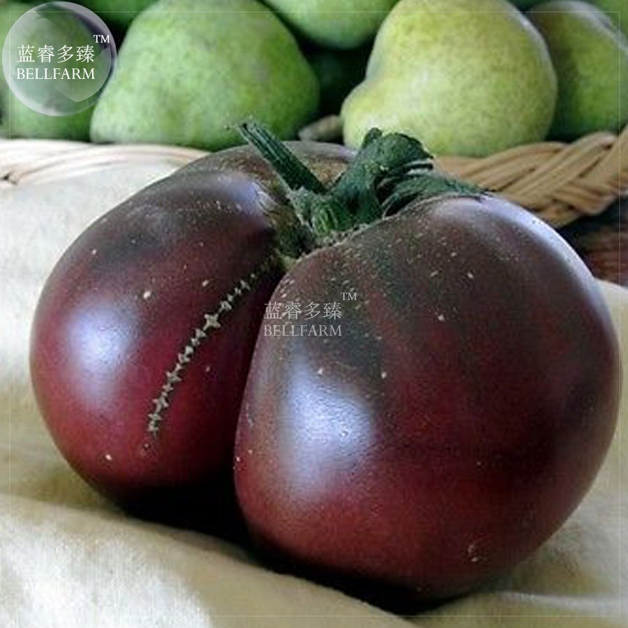 100 Fresh Seeds Tomato Giant Vegetable Fruits Type 26