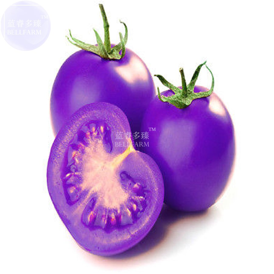 100 Fresh Seeds Tomato Giant Vegetable Fruits Type 31