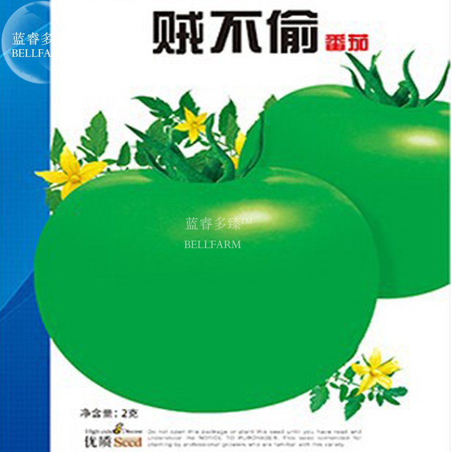 300 Fresh Seeds Rare Green Big Tomato