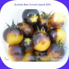 300 Fresh Seeds Rare Bumble Bee Tomato