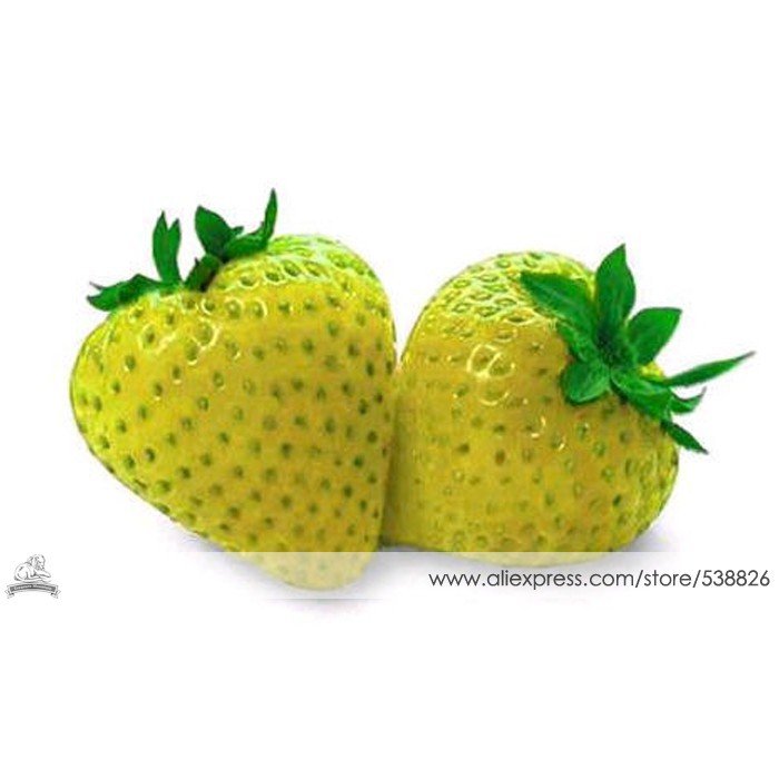 200 Fresh Seeds Sweet Yellow Alpine Strawberry