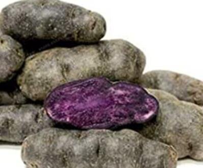 100 Russian Banana Fingerling Potato Bonsa Organic Seed Vegetables