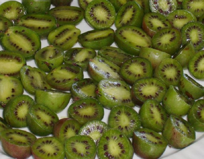 30 Hardy Kiwi Berry Actinidia Arguta Seeds Cocktail Mini Arctic Kiwifruit Fruit Fresh Seeds