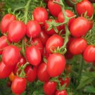 100 Feng Tao Bunches Tomato Seeds Pink Red Cherry Tomato Fruit Fresh Seeds