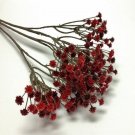 100 Babys Breath Red Flower Seeds Garden Fresh Seeds