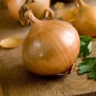 50 Onion Walla Walla Sweet Vegetable Seeds Garden Fresh Seeds