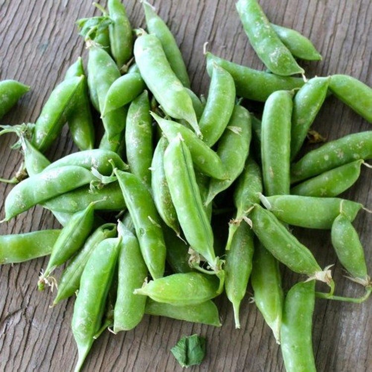 20 Snap Pea Sugar Sprint Vegetable Seeds Garden Fresh Seeds