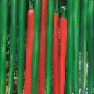 5 grams Pepper Seeds Rare Jintai Red Green Long Hot Chili Pepper 'Hong La 18' F1 Fresh Seeds