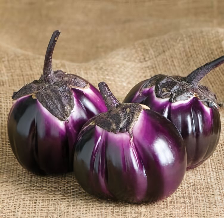 200 Seeds Eggplant Violet Colors with White Streaks Vegetable Fresh Seeds