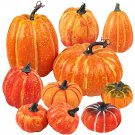 16 Seeds Rare 'Naughty Boy' Black Yellow Pumpkin Fresh Seeds