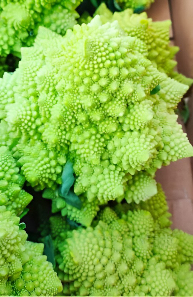 200 Seeds Roman Broccoli Seeds Vegetables Fresh Seeds