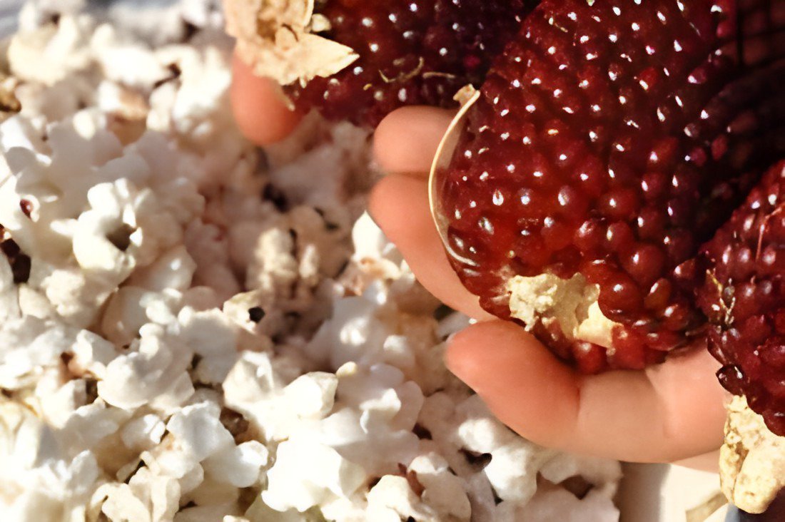 20 Seeds Strawberry Red Popcorn Fresh Seeds
