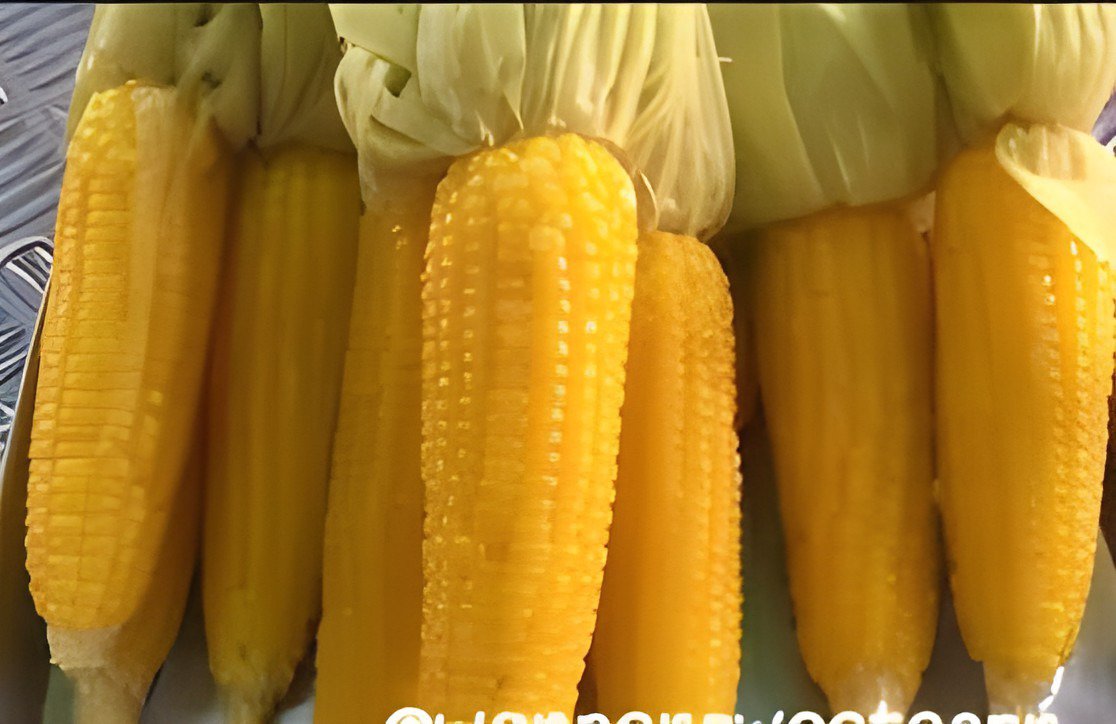 20 Seeds Fruits and Vegetables Silver Glutinous Corn Fresh Seeds