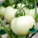 200 Seeds White Tomato Fresh Seeds