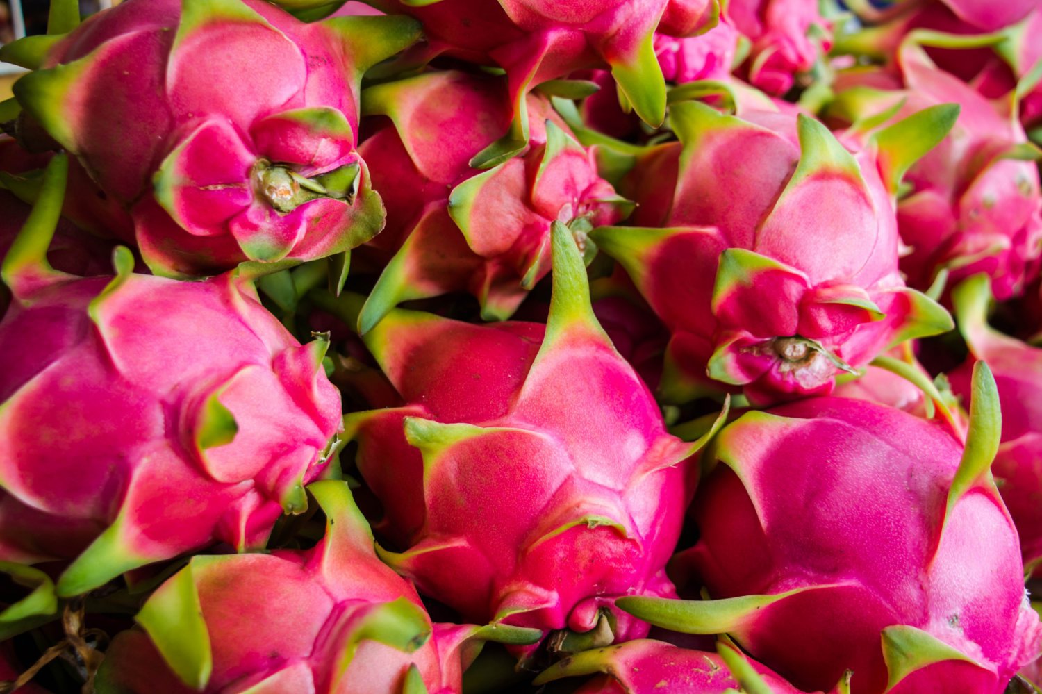 80 Seeds Pitaya White Sweet Dragon Fruit Fresh Seeds