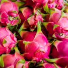 80 Seeds Pitaya White Sweet Dragon Fruit Fresh Seeds