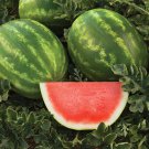 100 Seeds Super Big Green Red Seedless Watermelon Organic Fresh Seeds