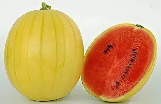 200 Seeds Watermelon Yellow Skin Red Inside Fresh Seeds
