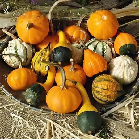 16 Seeds Heirloom 'Jindi' Small Ornamental Gourd Fresh Seeds
