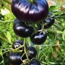 200 Seeds Heirloom Rare Small Black Green Tomato Fresh Seeds