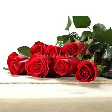 100 Seeds Large Feral Red Rose Flower Fresh Seeds