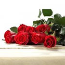 100 Seeds Large Feral Red Rose Flower Fresh Seeds