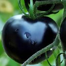 50 Seeds Black Pearl Tomato Fresh Seeds