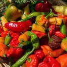40 Seeds Heirloom Allochroic Pod Pepper Fresh Seeds