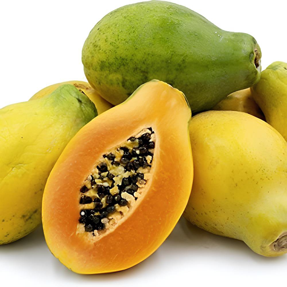 16 Seeds Fresh Organic Pawpaw Seeds Giant Red Lady Exotic Carica Papaya Fresh Seeds