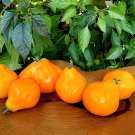 200 Seeds Rare Heirloom 'Foshou' Big Yellow Tomato Fresh Seeds