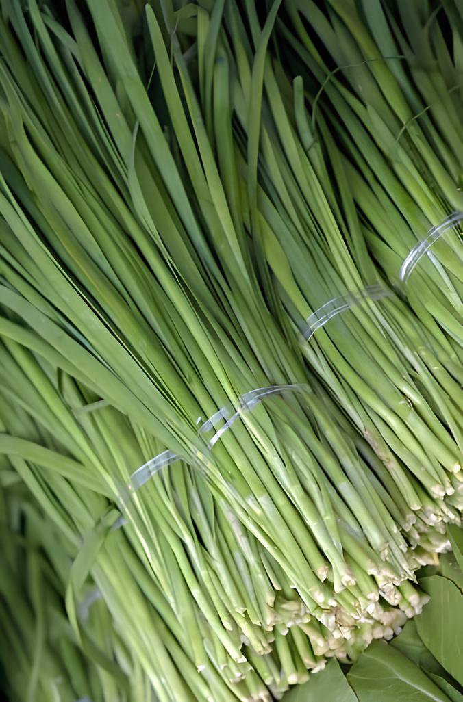1000 Seeds Chinese Broadleaf Chive Bonsai Garden Potted Leek Plants Fresh Seeds
