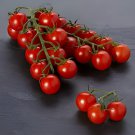 200 Seeds Piccolo Cherry' Tomato Fresh Seeds