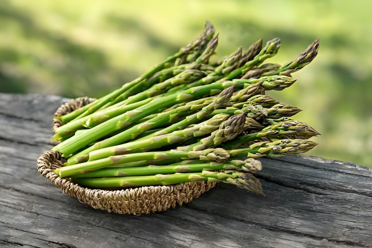 40 Seeds Green Asparagus Fresh Seeds