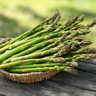 40 Seeds Green Asparagus Fresh Seeds