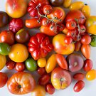 200 Seeds Tomato Giant 36 Types of Vegetable Fruits Fresh Seeds