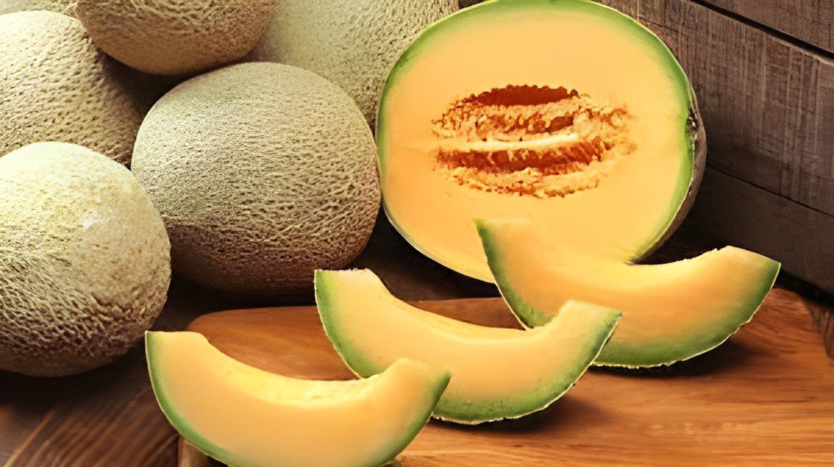 20 Seeds Korea Sweet Melon Seeds Very Delicious Hami Melon Muskmelon Fresh Seeds
