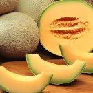 20 Seeds Korea Sweet Melon Seeds Very Delicious Hami Melon Muskmelon Fresh Seeds