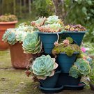 200 Seeds Pcs Beauty Mixed Mini Lithops Bonsai Plants Fresh Seeds