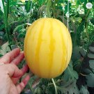 100 Seeds Yellow Skin Red Watermelon Fresh Seeds