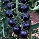 50 Seeds Heirloom Middle Black 'Pearl' Tomato Organic Fresh Seeds