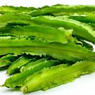 8 Seeds Winged Bean Perennial Rare Pea Bonsai Fresh Seeds