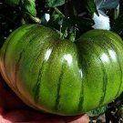 200 Seeds Rare Heirloom Arbuznyi Big Green Tomato with Dark Green Line Organic Fresh Seeds